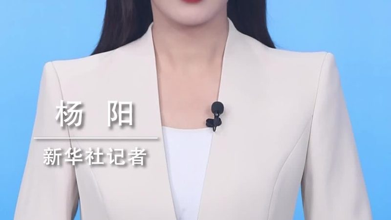仓储物流信息化建设：如何精准匹配需求与方案**