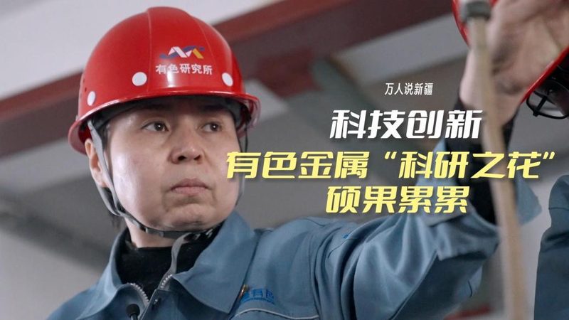 构建高效人工智能应用创新平台的规格解析